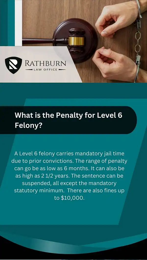 What is the penalty for level 6 felony? 
